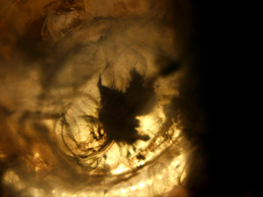 Fotografia abstrakcyjna. Autor: Wojciech Stachura