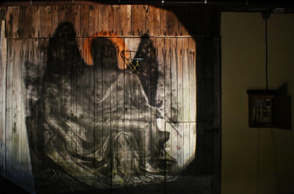 Obraz w przestrzeni, mapping przy użyciu epidiaskopu. Autor: Wojciech Stachura