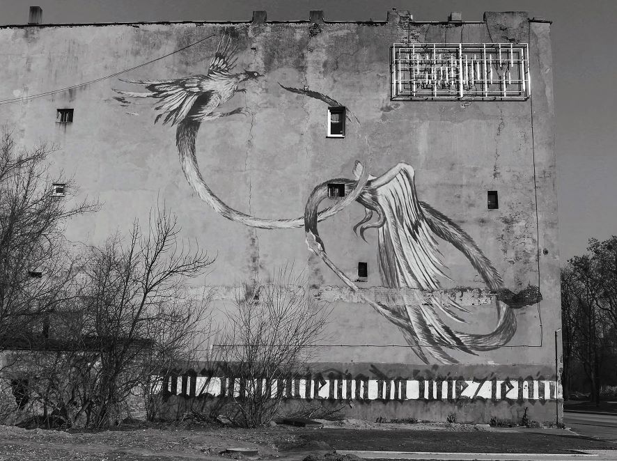 Bez tytułu z serii ''Uroboros'' Zdjęcie z elementem wklejonego rysunku w formie murala. 2024 autor Wojciech Stachura