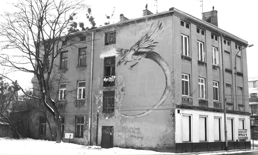 Bez tytułu z serii ''Uroboros'' Zdjęcie z elementem wklejonego rysunku w formie murala. 2024 autor Wojciech Stachura