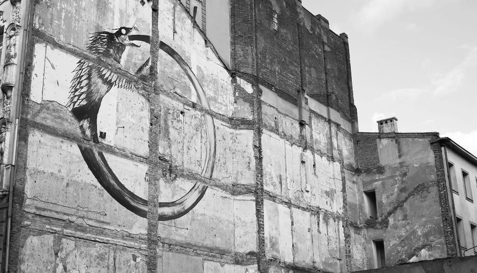 Bez tytułu z serii ''Uroboros'' Zdjęcie z elementem wklejonego rysunku w formie murala. 2024 autor Wojciech Stachura