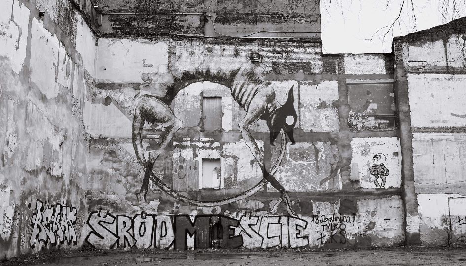 Bez tytułu z serii ''Uroboros'' Zdjęcie z elementem wklejonego rysunku w formie murala. 2024 autor Wojciech Stachura